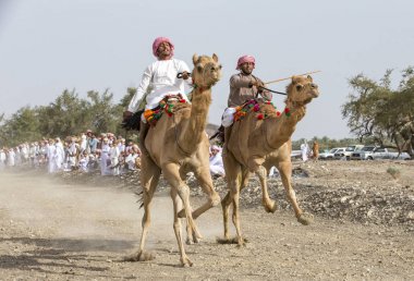 Khadal, Umman, 7 Nisan 2018: Umman kırsalında deve yarış omani erkekler