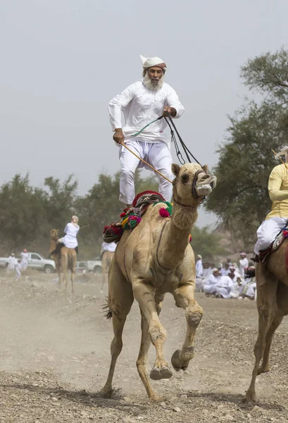 Khadal Oman April 2018 Omanska Män Racing Kameler Bygd Oman — Stockfoto