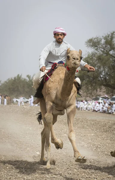 Khadal Omã Abril 2018 Homem Omani Correndo Camelo Campo Omã — Fotografia de Stock