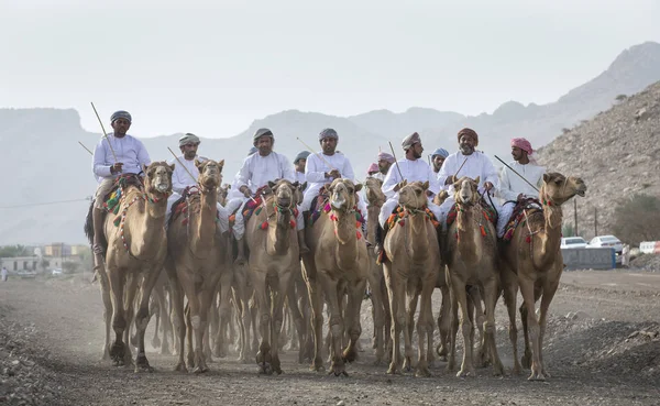 Khadal Omã Abril 2018 Homens Omani Rwith Seus Camelos Campo — Fotografia de Stock