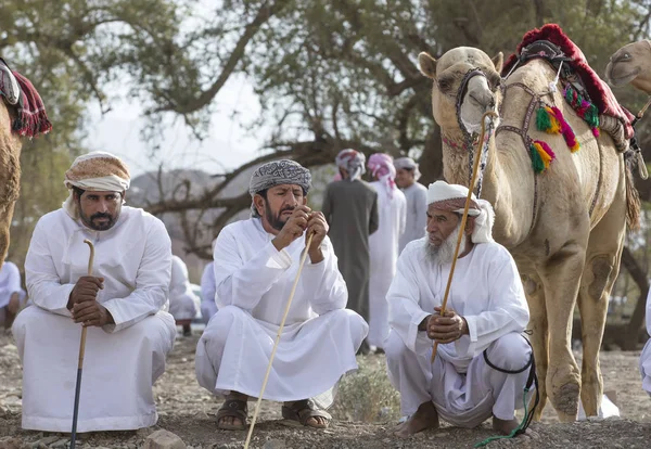 Khadal Omã Abril 2018 Homens Omani Rwith Seus Camelos Campo — Fotografia de Stock