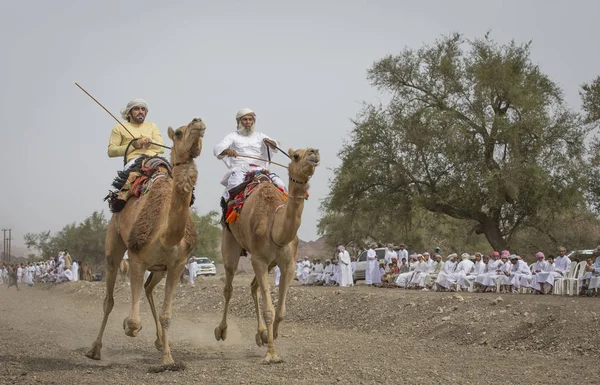 Ibri Omã Abril 2018 Homens Omani Correndo Camelos — Fotografia de Stock