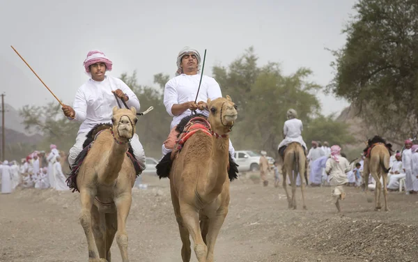 Khadal Omã Abril 2018 Homens Omani Montando Camelos Uma Estrada — Fotografia de Stock