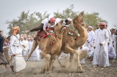 Khadal, Umman, 7 Nisan 2018: omani erkekler develerini tozlu kırsal yolda yarış hazırlanıyor