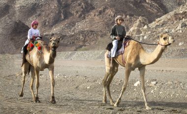 Khadal, Umman, 7 Nisan 2018: deve tozlu kırsal yolda sürme omani çocuklar