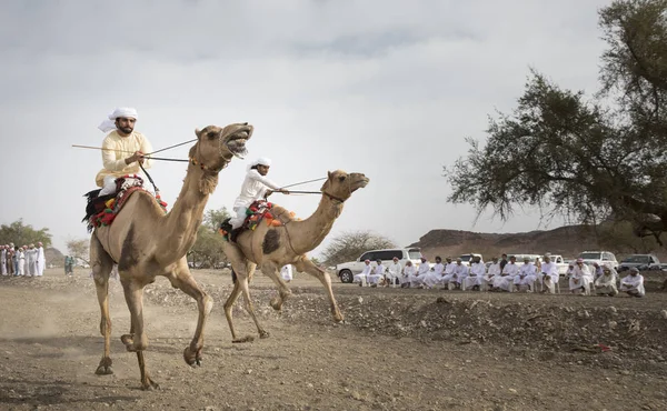 Khadal Oman April 2018 Mannen Rijden Kameel Een Landschap Van — Stockfoto