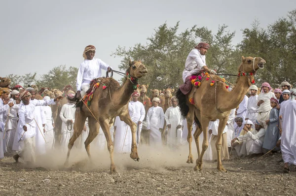 Khadal Oman Aprile 2018 Gli Uomini Omani Preparano Correre Loro — Foto Stock