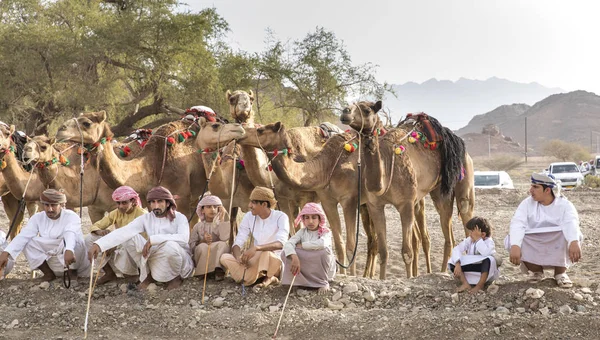Khadal Umman Nisan 2018 Omani Develerini Bir Kırsal Bir Yarıştan — Stok fotoğraf