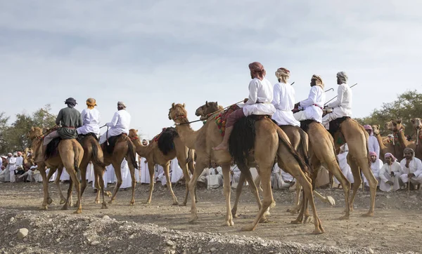 レースの前に田舎で ラクダに乗る Khadal オマーン 2018 オマーン人 — ストック写真