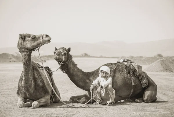 Omã Ibri Abril 2018 Menino Beduíno Com Seus Camelos Campo — Fotografia de Stock