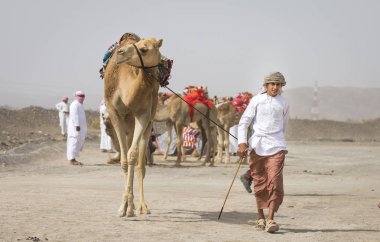 Oman, Ibri - April 28, 2018: Young Omani man with his camel before race clipart