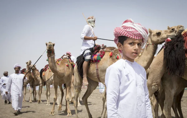 Оман Ibri Квітня 2018 Оманську Людей Верблюдах Гонку Сільській Місцевості — стокове фото
