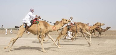 Al Safen, Umman, 27 Nisan, 2018: omani adamlara bir deve yarış bir kırsal kesimde