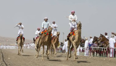 Al Safen, Umman, 27 Nisan, 2018: omani adamlara bir deve yarış bir kırsal kesimde