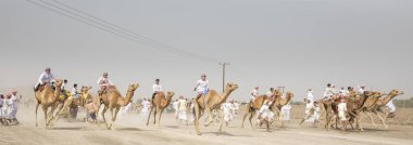 Al Safen, Umman, 27 Nisan, 2018: omani adamlara bir deve yarış bir kırsal kesimde