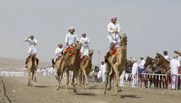 Safen Omã Abril 2018 Homens Omani Uma Corrida Camelos Campo — Fotografia de Stock