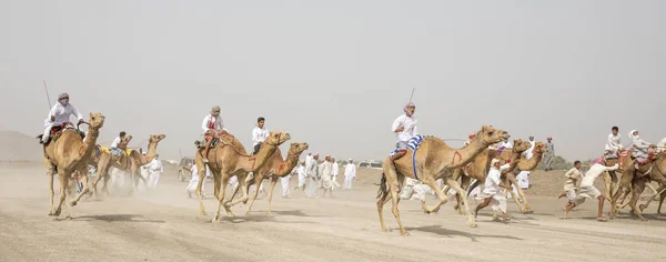 Safen Omã Abril 2018 Homens Omani Uma Corrida Camelos Campo — Fotografia de Stock