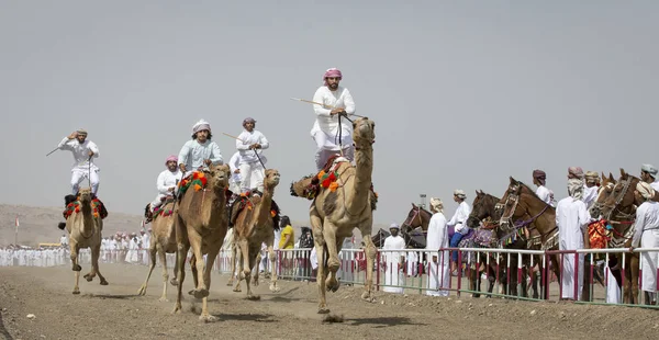 Safen Omã Abril 2018 Homens Omani Uma Corrida Camelos Campo — Fotografia de Stock