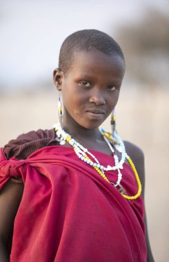 Arusha, Tanzanya, 7 Eylül 2017: genç bir maasai bayanın portresi