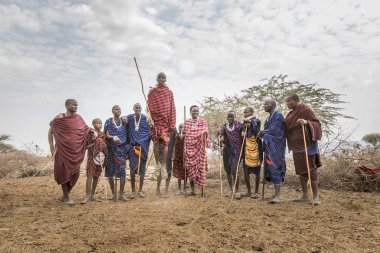 Arusha, Tanzanya, 7 Eylül 2017: Masai erkekleri kadınları etkilemek için atlıyor