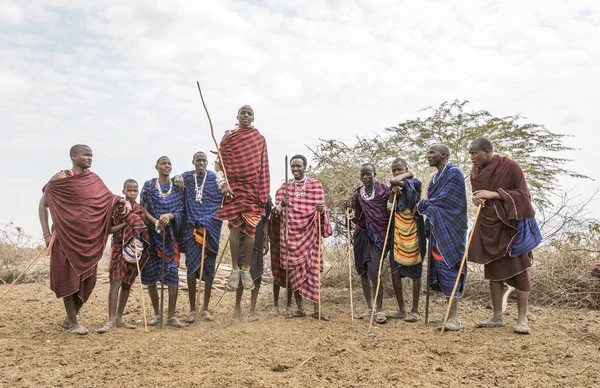 Arusha Tanzânia Setembro 2019 Guerreiros Maasai Pulando Para Impressionar Senhoras — Fotografia de Stock