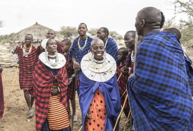 Arusha, Tanzanya, 7 Eylül 2017: Masai bayanları erkekler için dans ediyor.