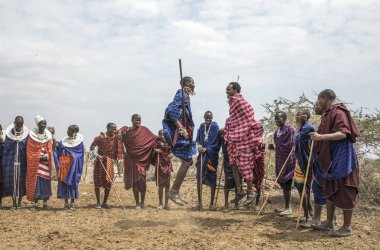 Arusha, Tanzanya, 7 Eylül 2017: Masai erkekleri kadınları etkilemek için atlıyor