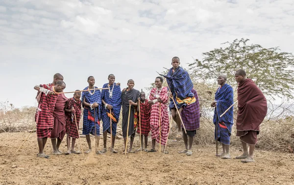 Arusha Tanzânia Setembro 2017 Homens Maasai Pulando Para Impressionar Senhoras — Fotografia de Stock