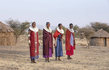 Arusha, Tanzanya, 7 Eylül 2019: geleneksel giyim güzel maasai kadın, tam takı giyiyor