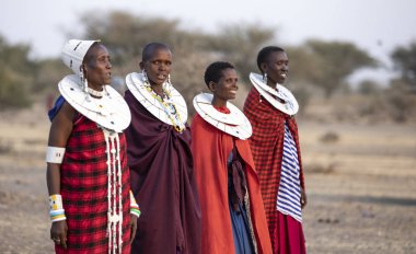 Arusha, Tanzanya, 7 Eylül 2019: geleneksel giyim güzel maasai kadın, tam takı giyiyor