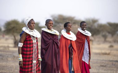 Arusha, Tanzanya, 7 Eylül 2019: geleneksel giyim güzel maasai kadın, tam takı giyiyor