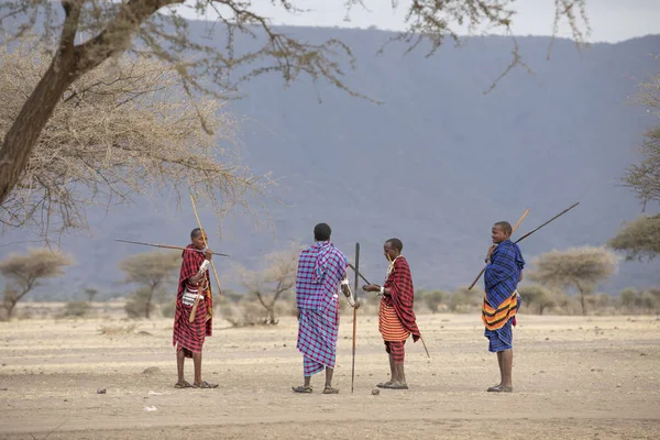 Arusha Tanzânia Setembro 2019 Guerreiros Maasai Uma Paisagem Savana Tanzânia — Fotografia de Stock