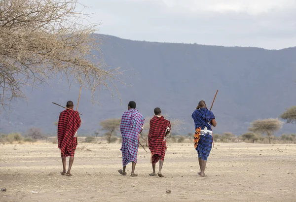 Arusha Tanzânia Setembro 2019 Guerreiros Maasai Uma Paisagem Savana Tanzânia — Fotografia de Stock