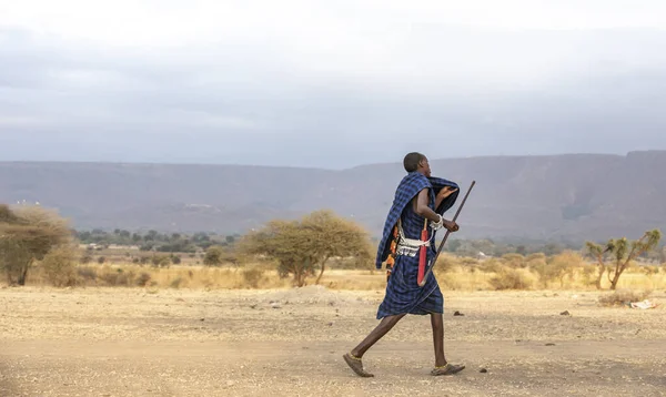 2019年9月7日 坦桑尼亚阿鲁沙 坦桑尼亚草原景观中的马赛战士 — 图库照片