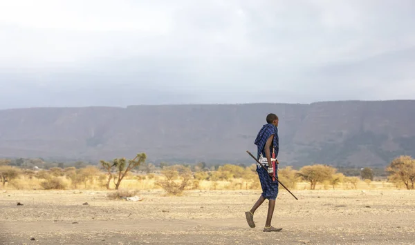 Arusha Tanzania Settembre 2019 Guerrieri Maasai Paesaggio Della Savana Tanzaniana — Foto Stock