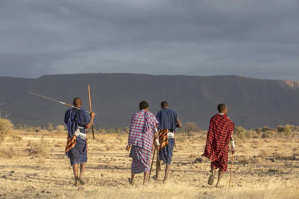 Arusha Tanzânia Setembro 2019 Guerreiros Maasai Uma Paisagem Savana Tanzânia — Fotografia de Stock