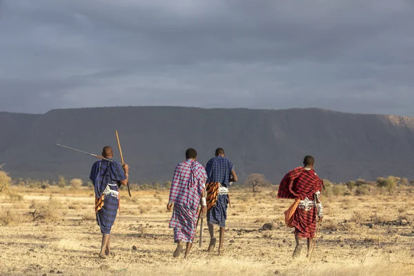 Arusha Tanzania 7Th September 2019 Maasai Warriors Landscape Tanzanian Savannah — Stock Photo, Image