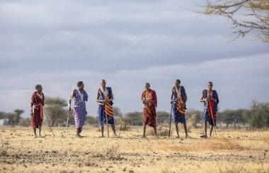 Arusha, Tanzanya, 7 Eylül 2019: Maasai savaşçıları bir savanada yürüyor