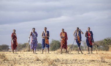 Arusha, Tanzanya, 7 Eylül 2019: Maasai savaşçıları bir savanada yürüyor