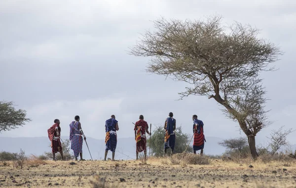 Аруша Танзанія Вересня 2019 Мамасаї Воїнів Ходьба Савани — стокове фото