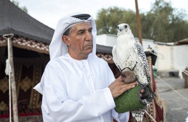 Al Ain, Birleşik Arap Emirlikleri, 16 Kasım 2019: Emirati adamı ve şahini