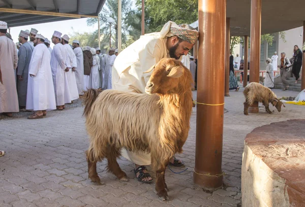 Nizwa Oman Dicembre 2015 Gli Omani Vecchio Mercato Caprino Nizwa — Foto Stock