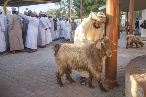Nizwa Oman Grudzień 2015 Ludzie Omani Starym Targu Kozim Nizwie — Zdjęcie stockowe
