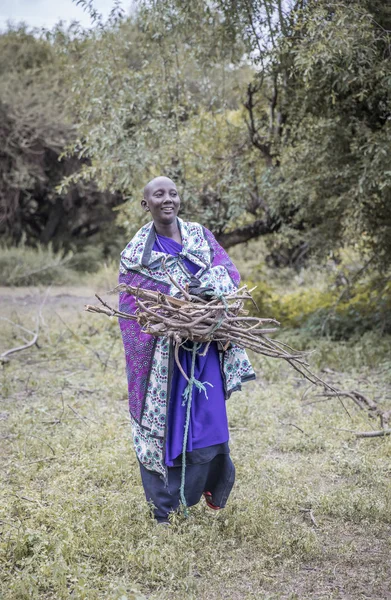 Танзания Июня 2019 Года Женщина Масаи Собирает Дрова Леса — стоковое фото