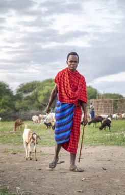 Aynı şekilde, Tanzanya, 11 Haziran 2019: Masai savaşçısı evinde ya da köyünde