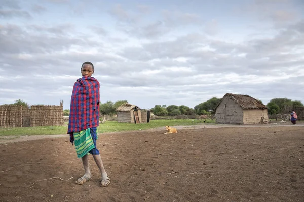 탄자니아 2019 마사이 자신의 마을에서 — 스톡 사진