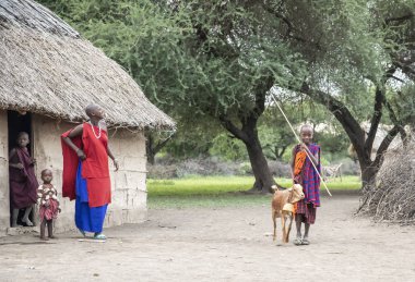 Aynı şekilde, Tanzanya, 7 Haziran 2019: Keçili maasai çocuk.