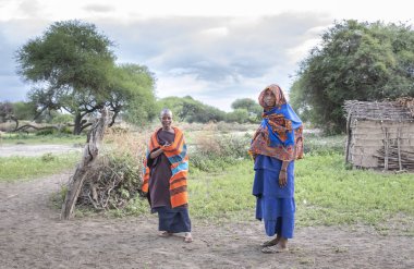 Aynı şekilde, Tanzanya, 7 Haziran 2019: savanadaki güzel maasai kadın.