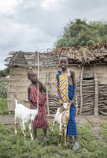 Same, Tanzania, 7th June 2019: maasai kid with a goat