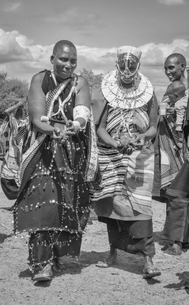 Same Tanzania Giugno 2019 Signore Maasai Raccolgono Sterco Mucca Fresca — Foto Stock